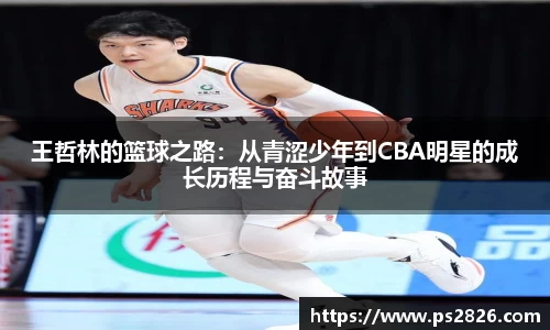 王哲林的篮球之路：从青涩少年到CBA明星的成长历程与奋斗故事